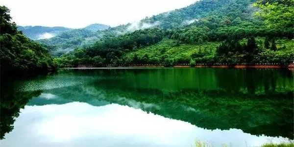 五一去崇义旅游,去玩过的驴友可以说下攻略吗?