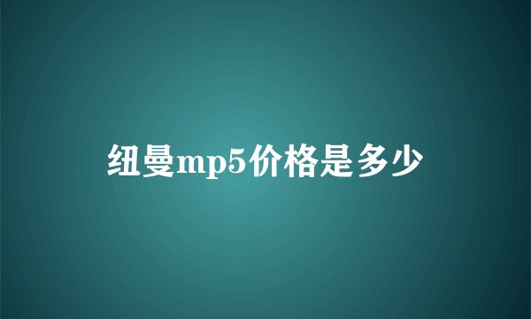 纽曼mp5价格是多少