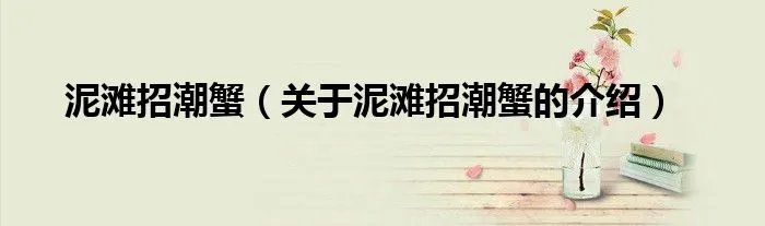 泥滩招潮蟹（关于泥滩招潮蟹的介绍）