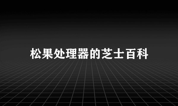 松果处理器的芝士百科