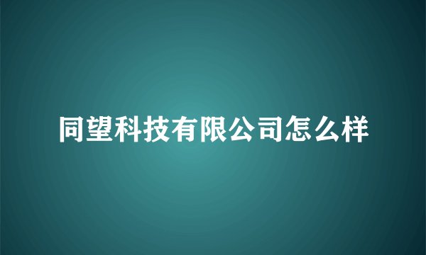 同望科技有限公司怎么样