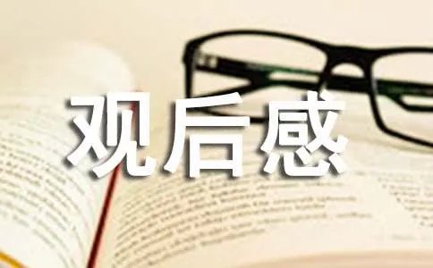 我的姐姐观后感