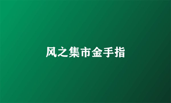 风之集市金手指