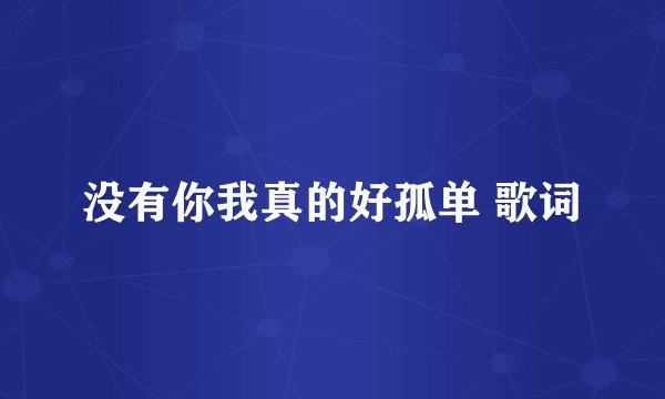 没有你我真的好孤单 歌词