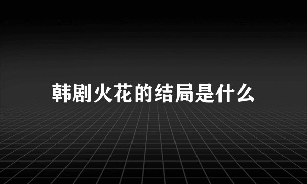 韩剧火花的结局是什么