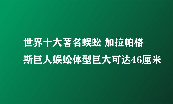 世界十大著名蜈蚣 加拉帕格斯巨人蜈蚣体型巨大可达46厘米