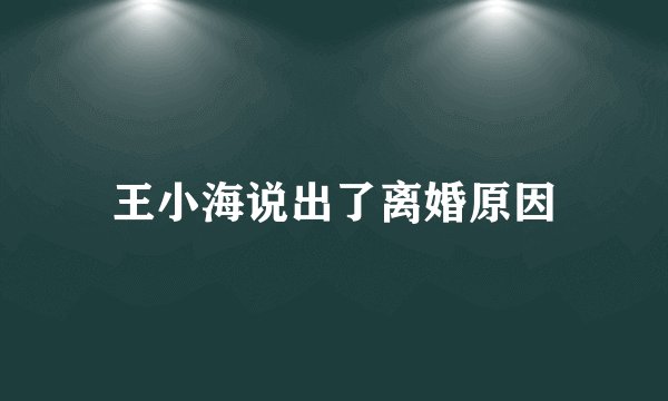 王小海说出了离婚原因