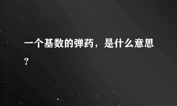 一个基数的弹药，是什么意思？