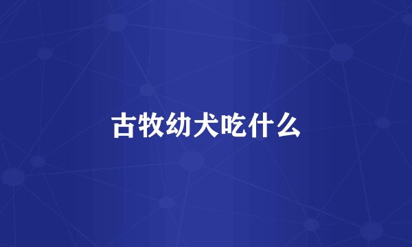 古牧幼犬吃什么