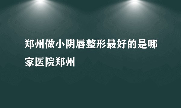 郑州做小阴唇整形最好的是哪家医院郑州