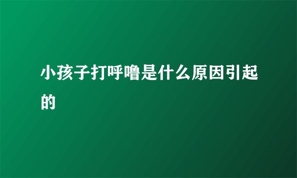 小孩子打呼噜是什么原因引起的
