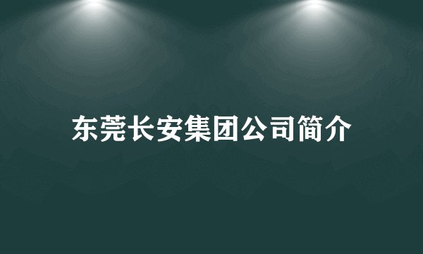 东莞长安集团公司简介