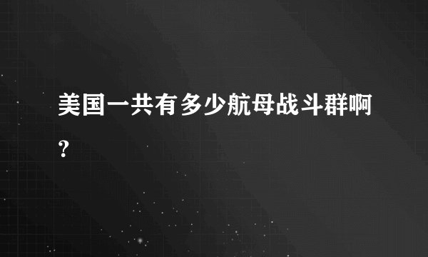 美国一共有多少航母战斗群啊?