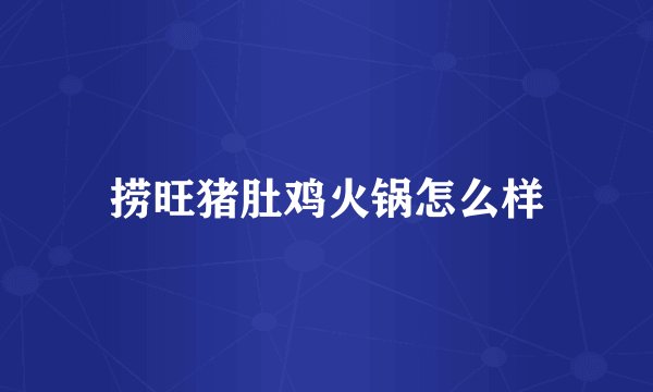 捞旺猪肚鸡火锅怎么样