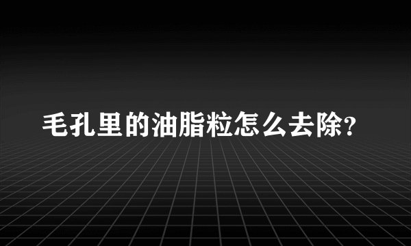 毛孔里的油脂粒怎么去除？
