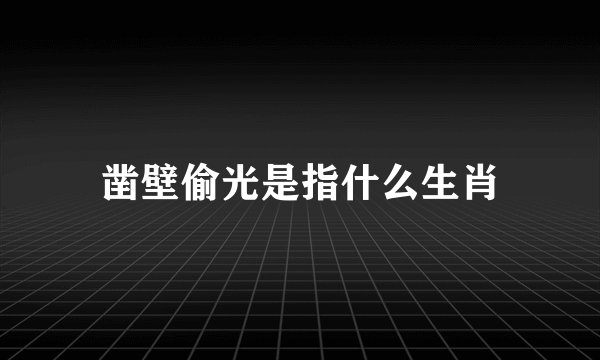 凿壁偷光是指什么生肖