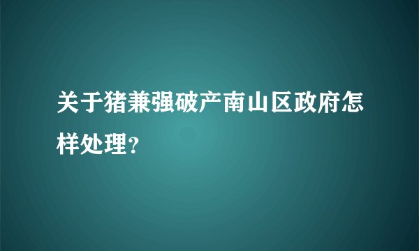关于猪兼强破产南山区政府怎样处理？
