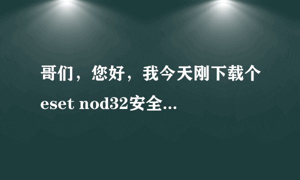 哥们，您好，我今天刚下载个eset nod32安全套装，能不能给我发一个激活码啊，十分感谢！