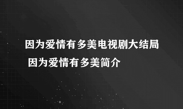 因为爱情有多美电视剧大结局 因为爱情有多美简介