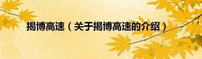 揭博高速（关于揭博高速的介绍）