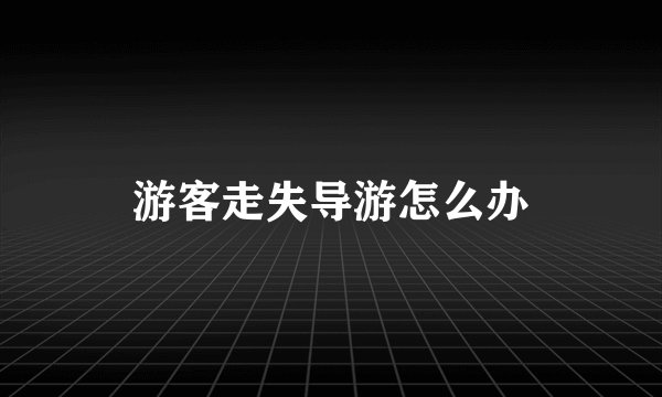 游客走失导游怎么办
