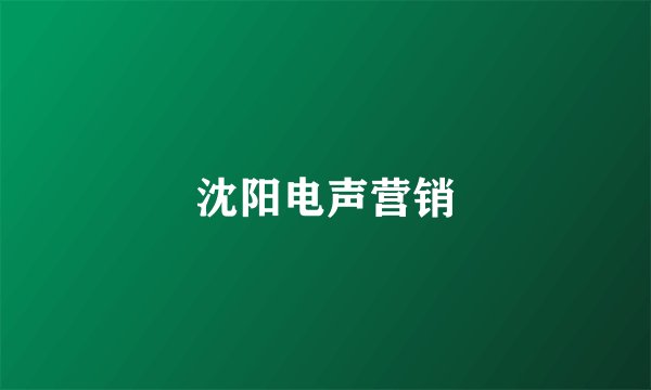 沈阳电声营销