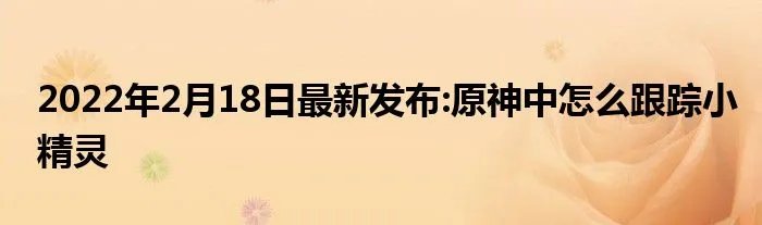 2022年2月18日最新发布:原神中怎么跟踪小精灵