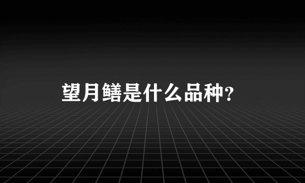 望月鳝是什么品种？