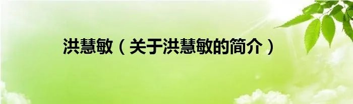 洪慧敏（关于洪慧敏的简介）