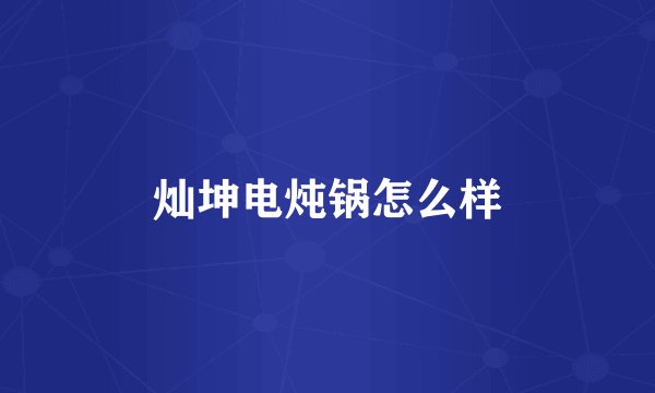 灿坤电炖锅怎么样
