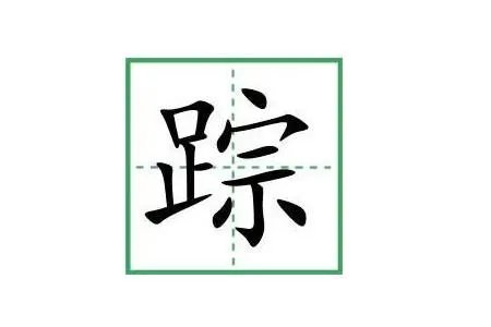 踪的拼音