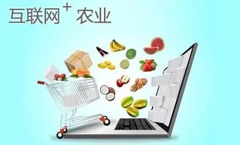 一些农产品滞销的本质是什么?
