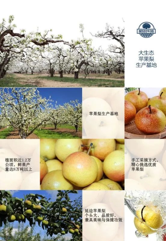 关于延吉特产