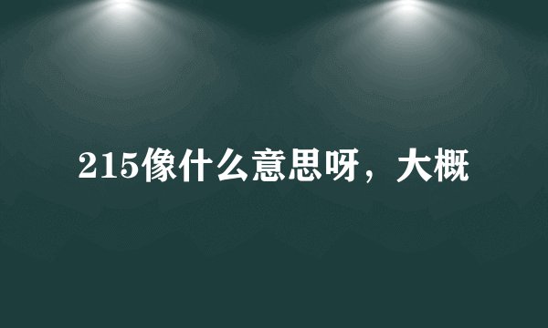215像什么意思呀，大概