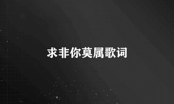 求非你莫属歌词