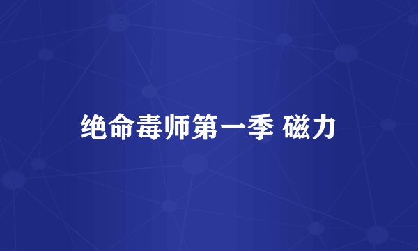绝命毒师第一季 磁力