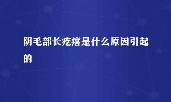 阴毛部长疙瘩是什么原因引起的