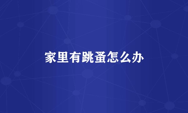 家里有跳蚤怎么办
