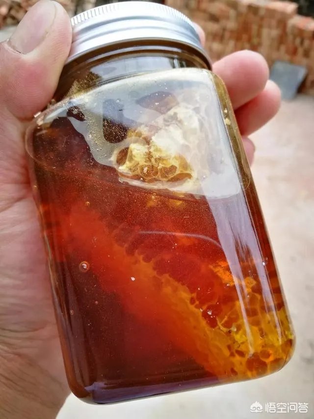 农村人自己养的蜂蜜怎么样?贵吗?