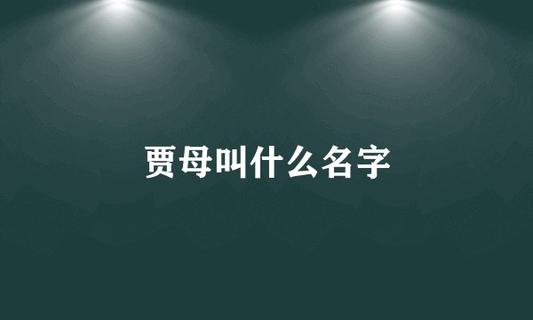 贾母叫什么名字