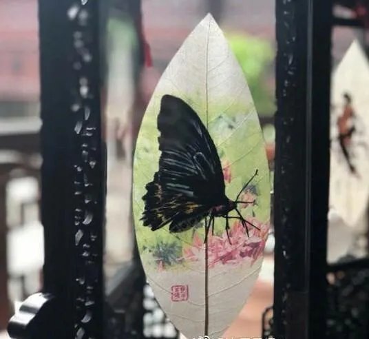 如何看待女生抢同学QQ红包没钱归还，被逼下跪道歉这件事？