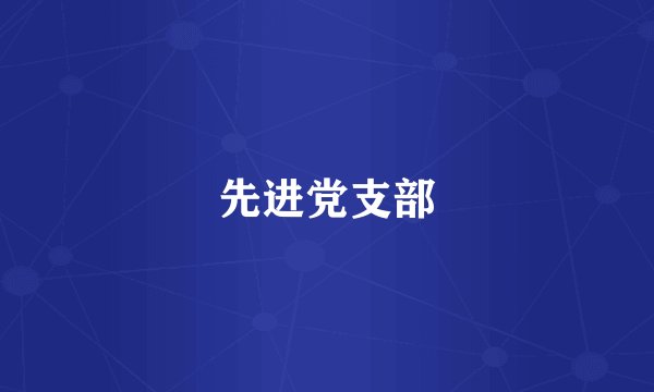 先进党支部