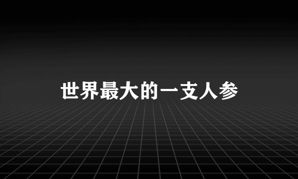 世界最大的一支人参