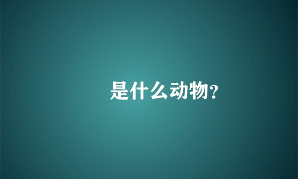 鼩鼱是什么动物？