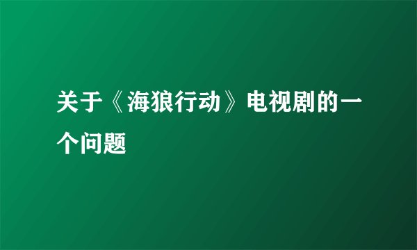 关于《海狼行动》电视剧的一个问题