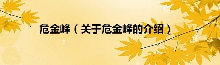 危金峰（关于危金峰的介绍）