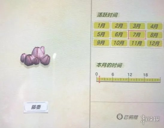 《集合啦动物森友会》海洋生物有哪些?海洋生物价格图鉴