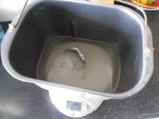小面包