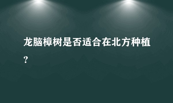 龙脑樟树是否适合在北方种植？