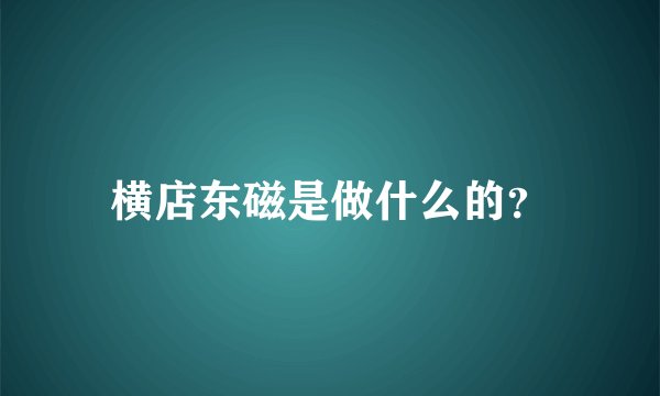 横店东磁是做什么的？